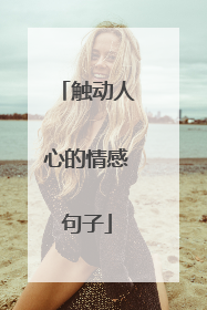 触动人心的情感句子