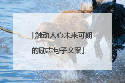 触动人心未来可期的励志句子文案