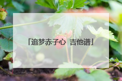 追梦赤子心 吉他谱