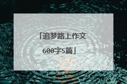 追梦路上作文600字5篇