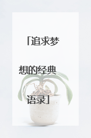 追求梦想的经典语录