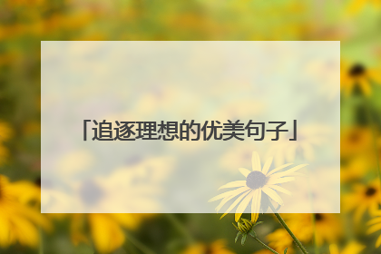 追逐理想的优美句子