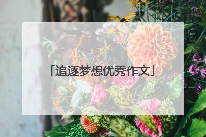 追逐梦想优秀作文