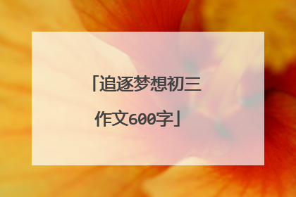 追逐梦想初三作文600字