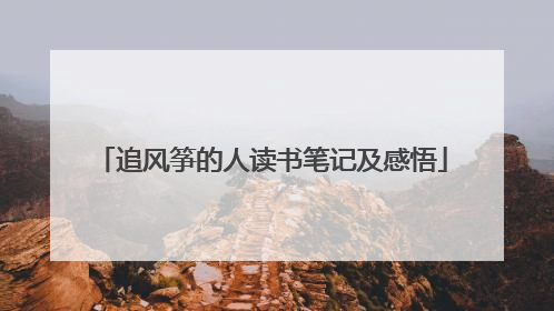 追风筝的人读书笔记及感悟