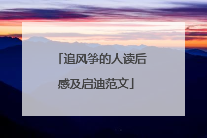 追风筝的人读后感及启迪范文
