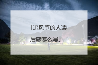 追风筝的人读后感怎么写