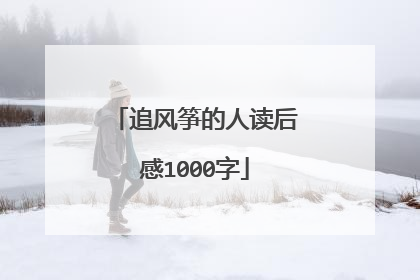 追风筝的人读后感1000字