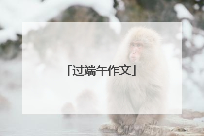 过端午作文