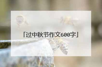 过中秋节作文600字