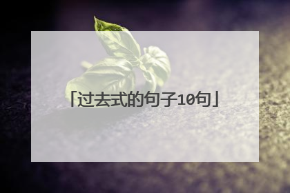 过去式的句子10句
