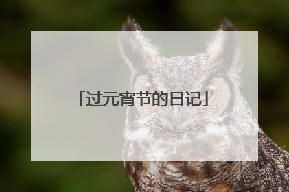 过元宵节的日记