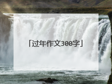 过年作文300字