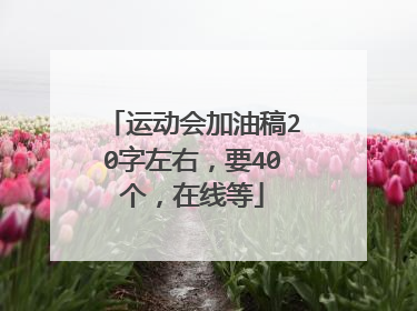 运动会加油稿20字左右,要40个,在线等