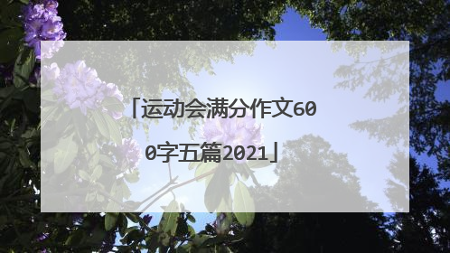 运动会满分作文600字五篇2021