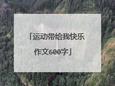 运动带给我快乐作文600字