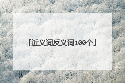 近义词反义词100个