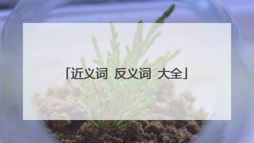 近义词 反义词 大全
