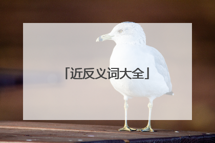 近反义词大全