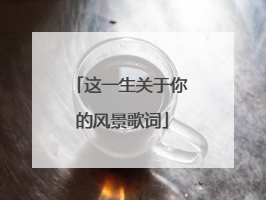 这一生关于你的风景歌词
