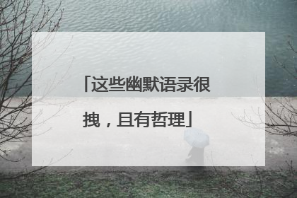 这些幽默语录很拽，且有哲理