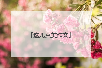 这儿真美作文