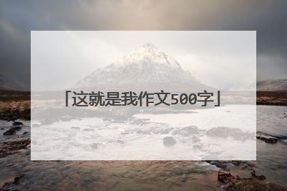 这就是我作文500字