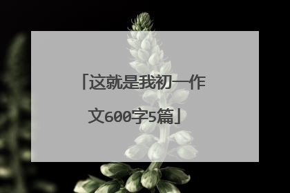 这就是我初一作文600字5篇