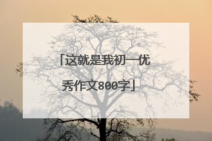 这就是我初一优秀作文800字