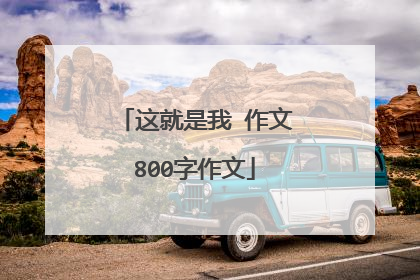 这就是我 作文800字作文