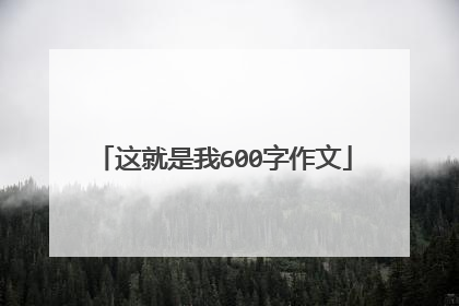 这就是我600字作文