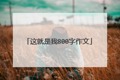 这就是我800字作文