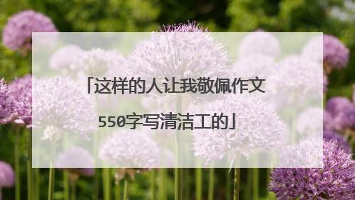 这样的人让我敬佩作文550字写清洁工的