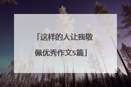 这样的人让我敬佩优秀作文5篇