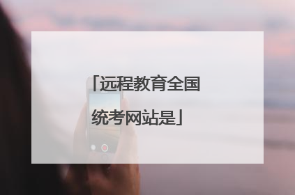 远程教育全国统考网站是