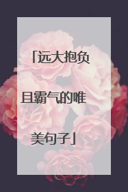 远大抱负且霸气的唯美句子