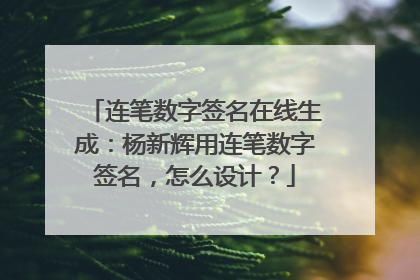 连笔数字签名在线生成：杨新辉用连笔数字签名，怎么设计？