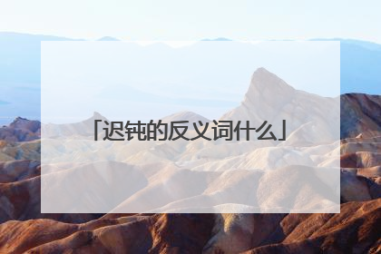 迟钝的反义词什么