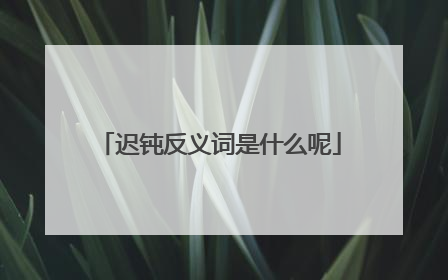 迟钝反义词是什么呢