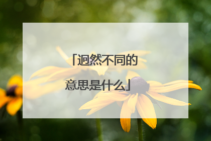 迥然不同的意思是什么
