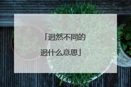 迥然不同的迥什么意思