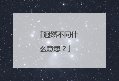 迥然不同什么意思？