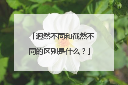 迥然不同和截然不同的区别是什么?