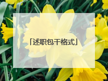 述职包干格式