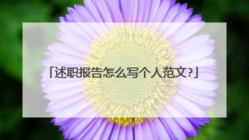 述职报告怎么写个人范文?