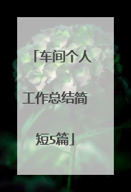 车间个人工作总结简短5篇