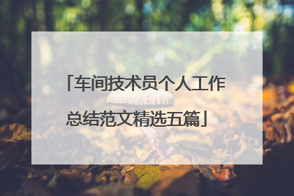 车间技术员个人工作总结范文精选五篇