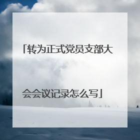 转为正式党员支部大会会议记录怎么写
