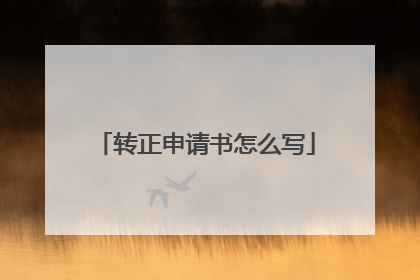 转正申请书怎么写