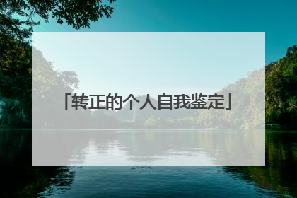 转正的个人自我鉴定
